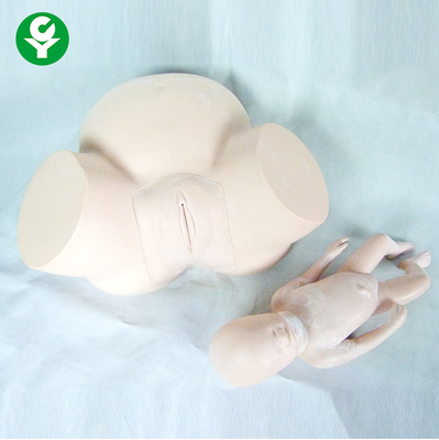 医学の訓練の人体摸型の出産のデモンストレーションを訓練する助産術